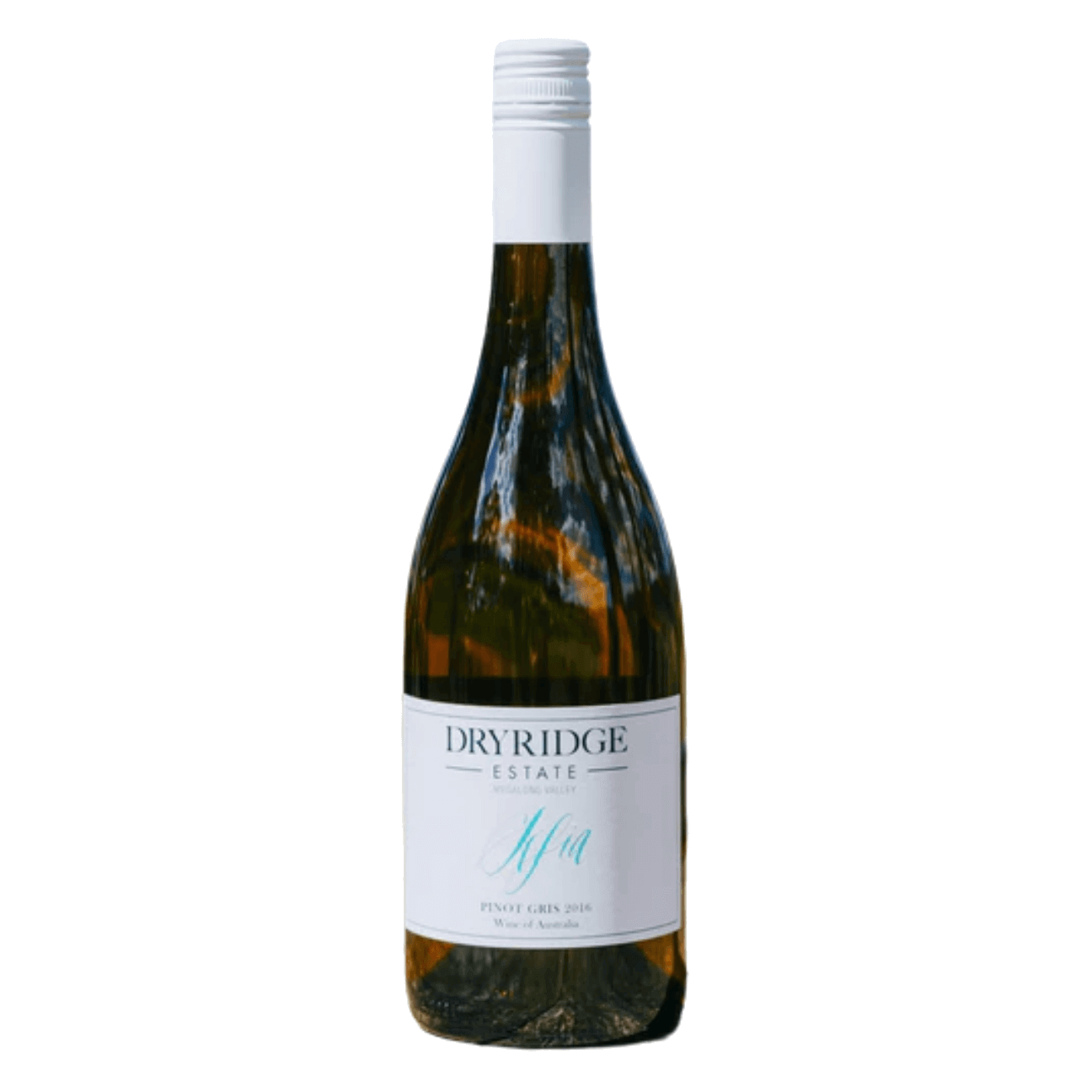 Dryridge Estate 'SOFIA' Pinot Grigio 2023 (12 Bottles) Megalong Valley, NSW