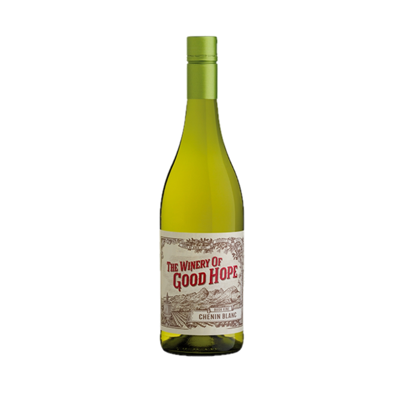 The Winery of Good Hope Bush Vine Chenin Blanc 2023/24 (12 Bottles) Stellenbosch, South Africa