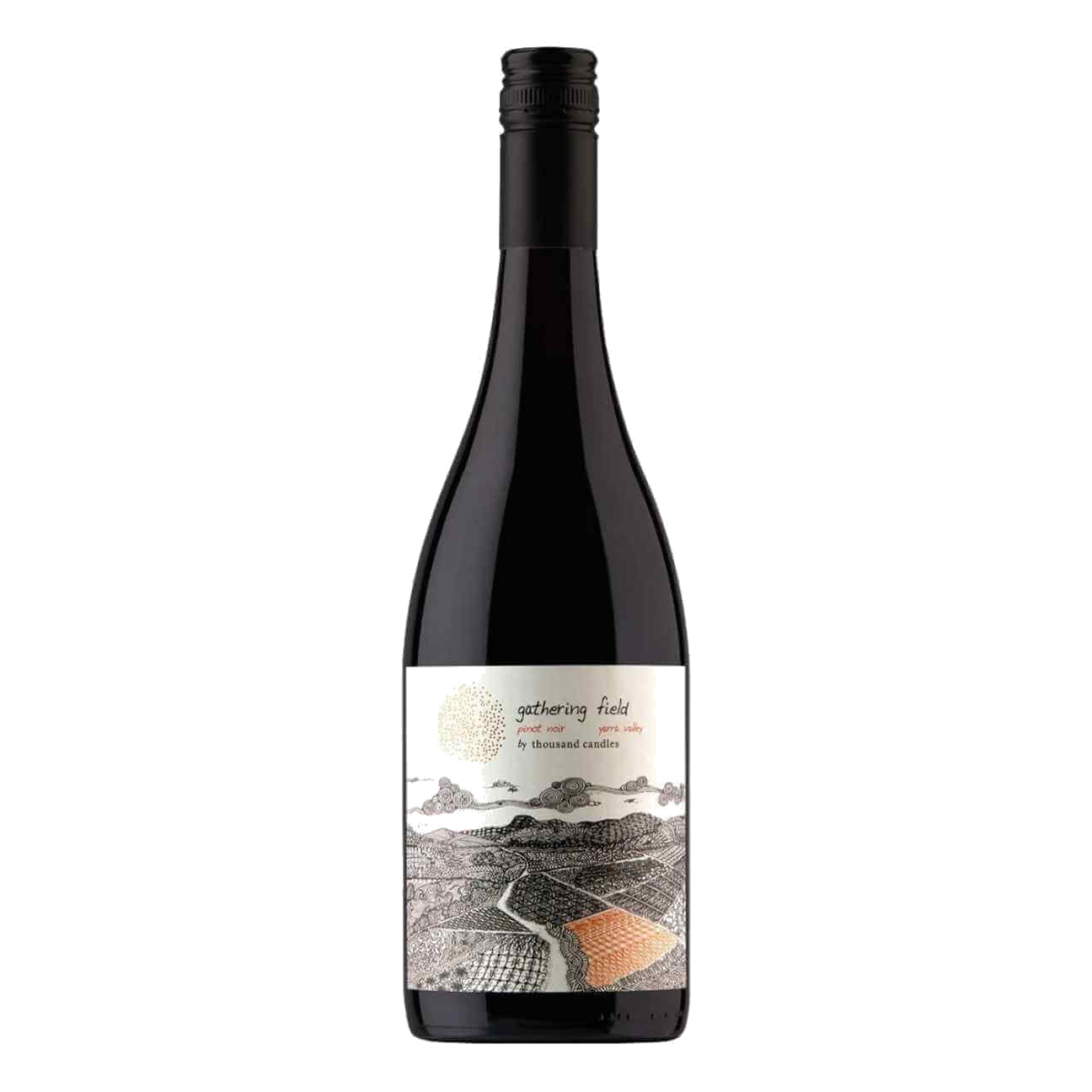 Thousand Candles Gathering Field Pinot Noir 2024 (6 Bottles) Yarra Valley, VIC
