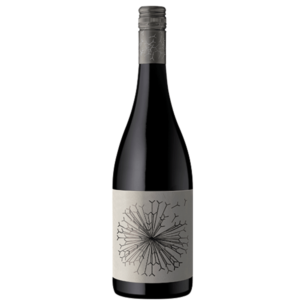 Dandelion Lion's Tooth of McLaren Vale Shiraz Riesling 2024 (6 Bottles) McLaren Vale, SA