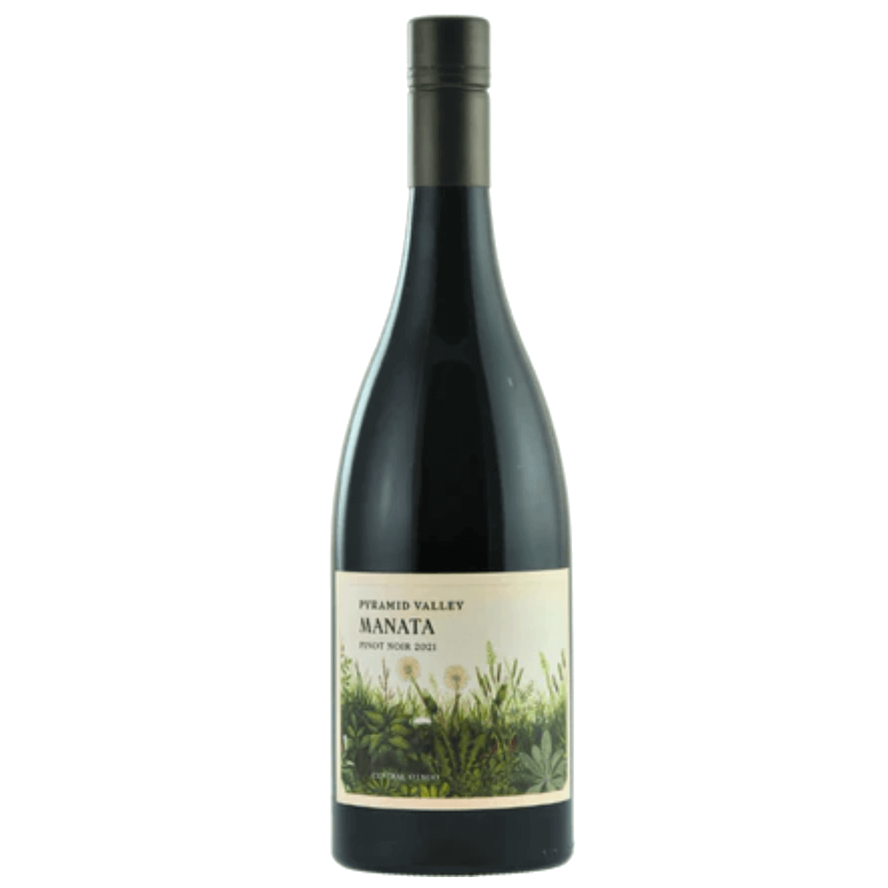 Pyramid Valley Central Otago Manata Pinot Noir 2021 (6 Bottles) New Zealand