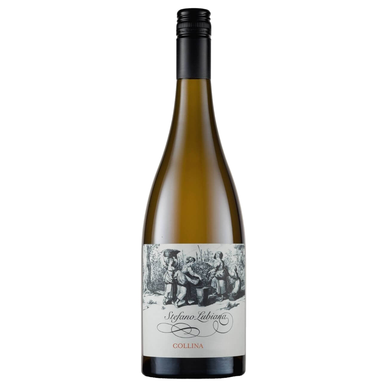 Stefano Lubiana Estate Collina Chardonnay 2023 (6 Bottles) Derwent Valley, TAS