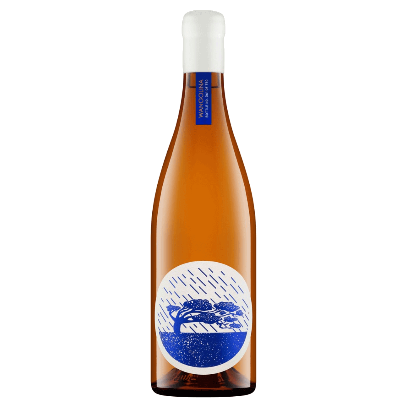 Wangolina Malvasia Istriana 2023 (6 Bottles) Mt Benson, Limestone Coast