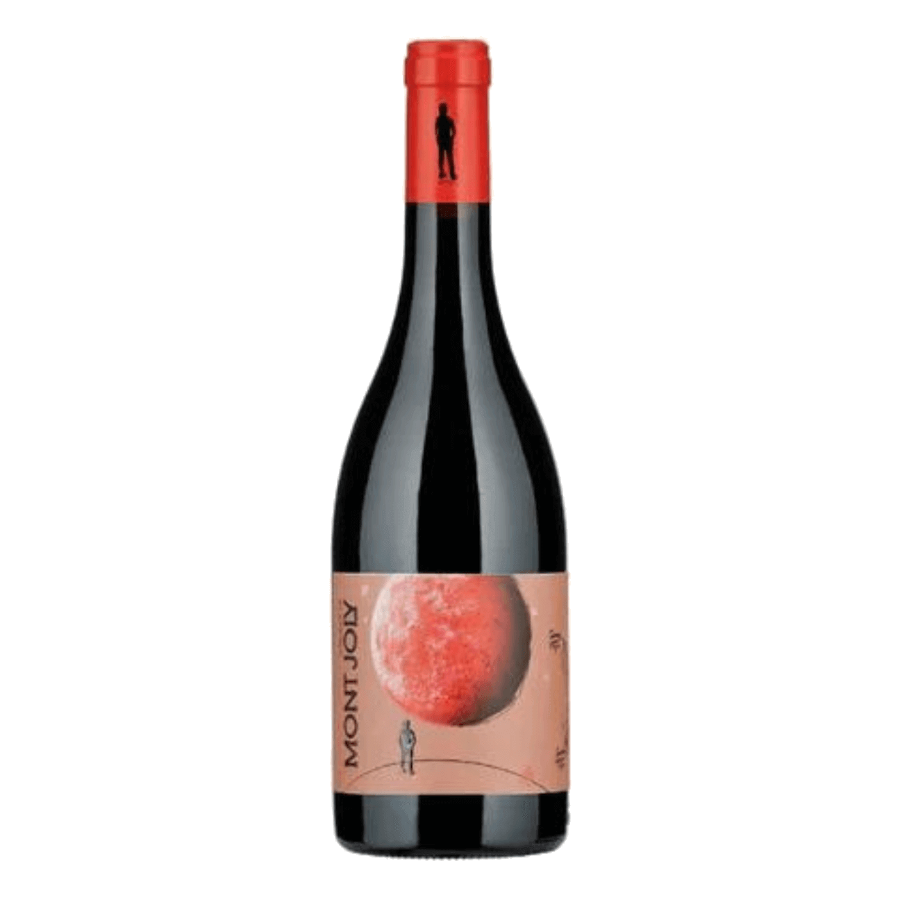 Domaine de Mont Joly La Pointe 2019 (6 Bottles) Beaujolais, France