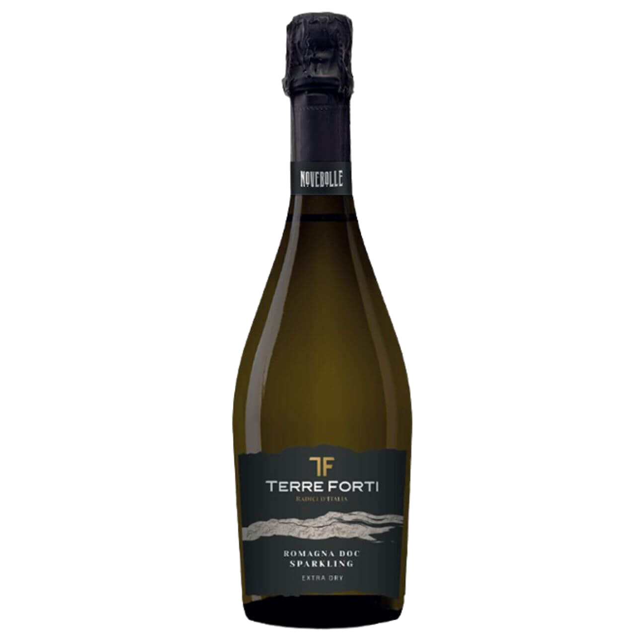 Terre Forti Novebolle Sparkling NV (6 Bottles) Emilia Romagna, Italy