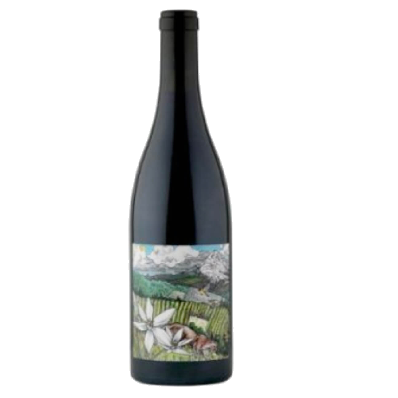 Kelley Fox Pinot Noir “Mirabai” 2021 (6 Bottles) Oregon USA