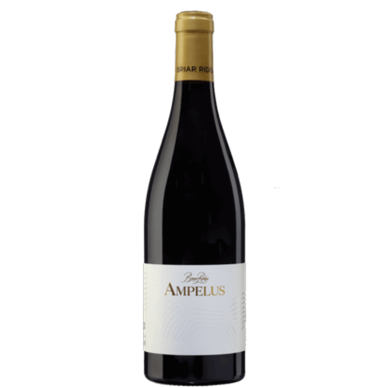 Briar Ridge Ampelus Argilla Syrah 2024 (6 Bottles) Hunter Valley, NSW