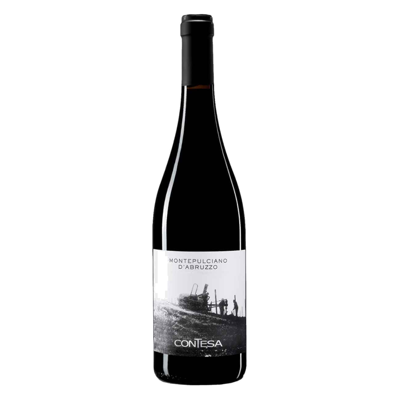 Contesa Montepulciano d'Abruzzo 2023 (6 Bottles) Abruzzo, Italy
