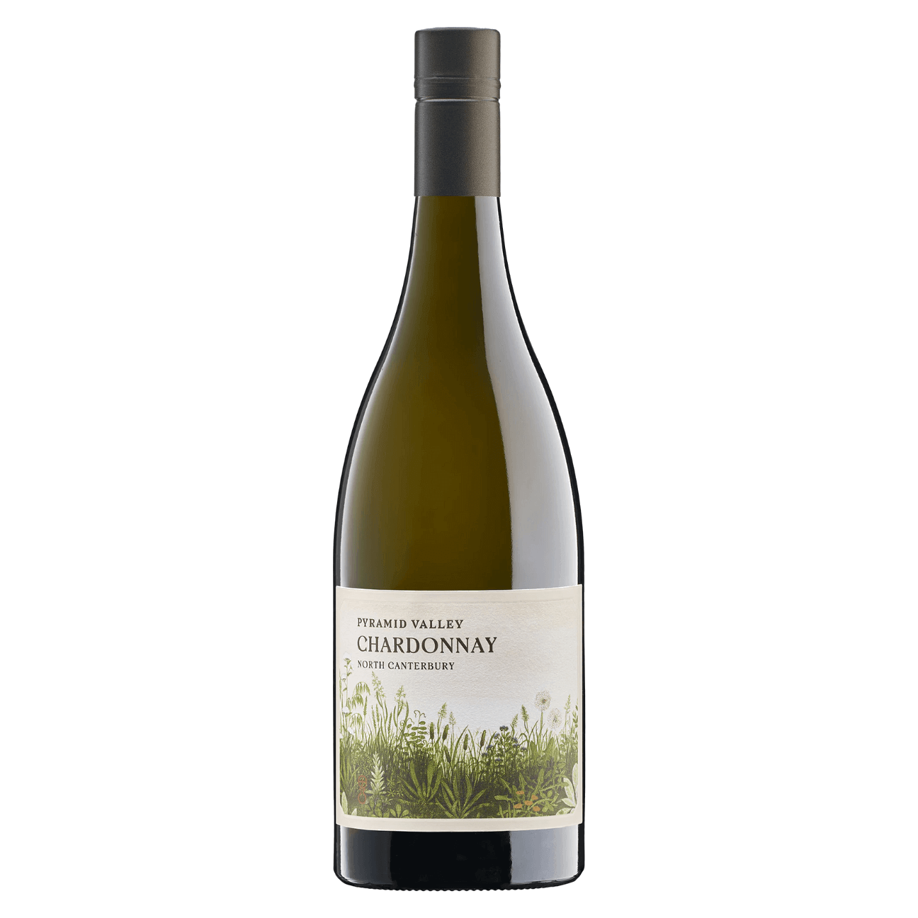 Pyramid Valley Springs Chardonnay 2022 (6 Bottles) New Zealand