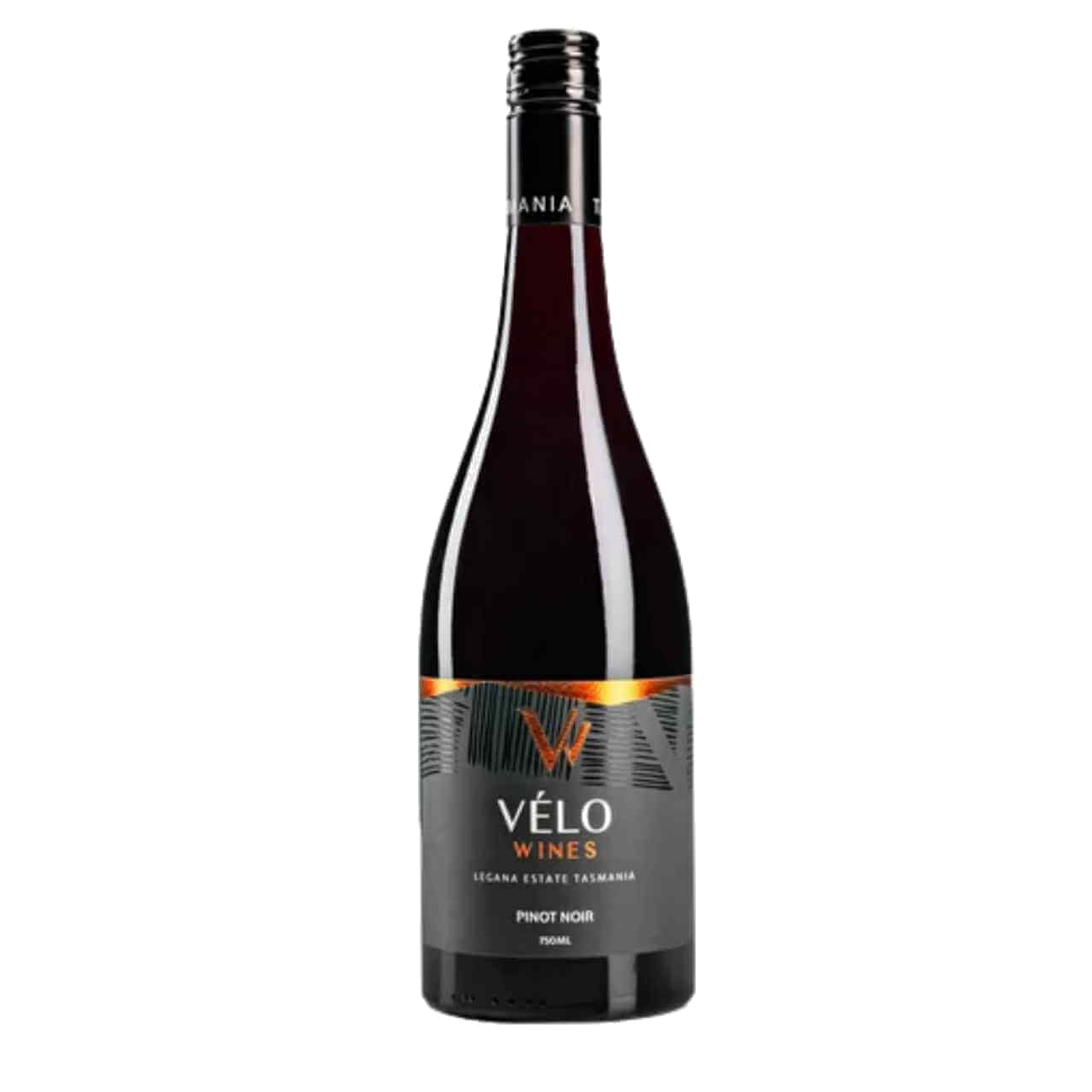 Velo Wines Pinot Noir 2025 (12 Bottles) Tamar Valley, TAS