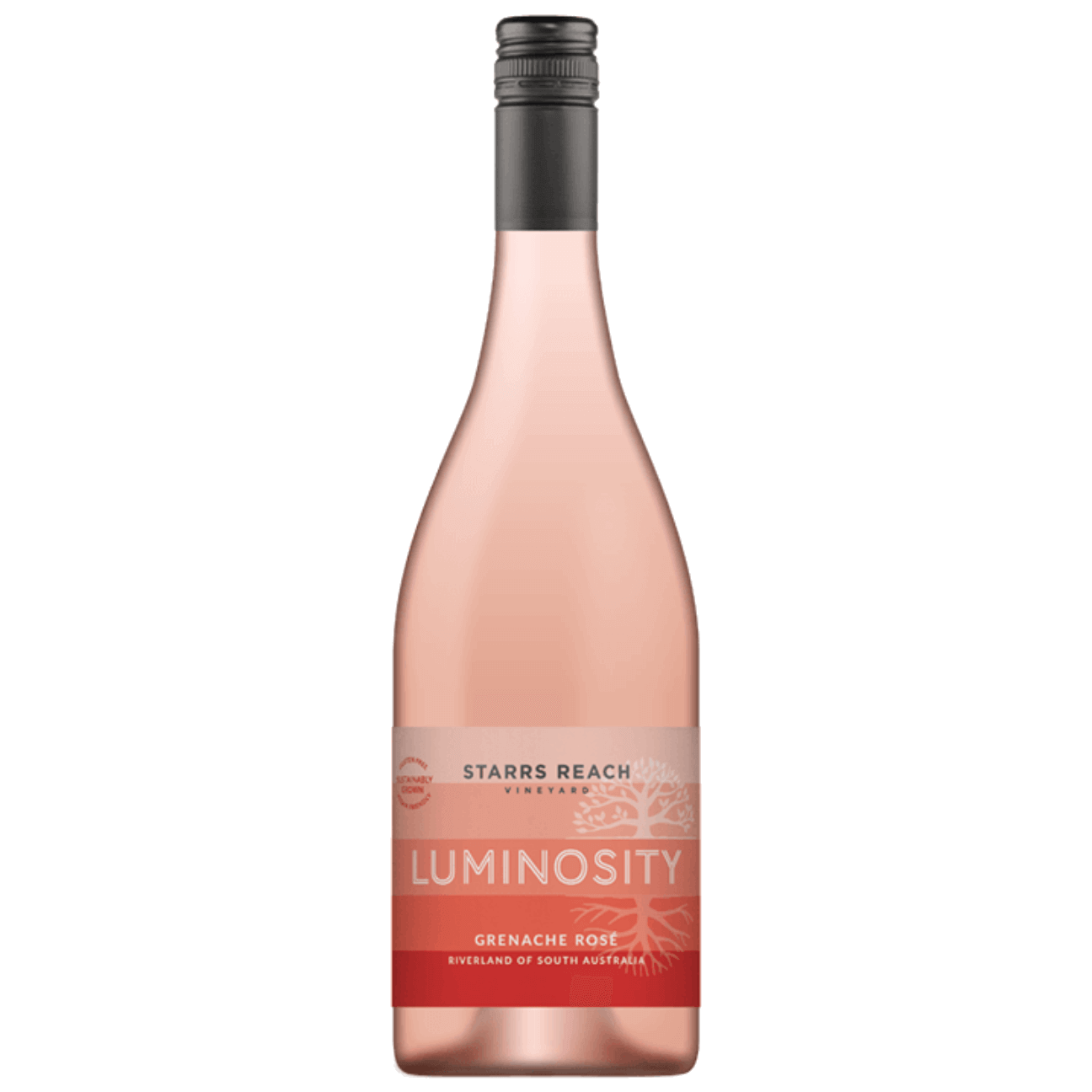 Starrs Reach LUMINOSITY Grenache Rosé 2023 (12 bottles) Riverland, SA
