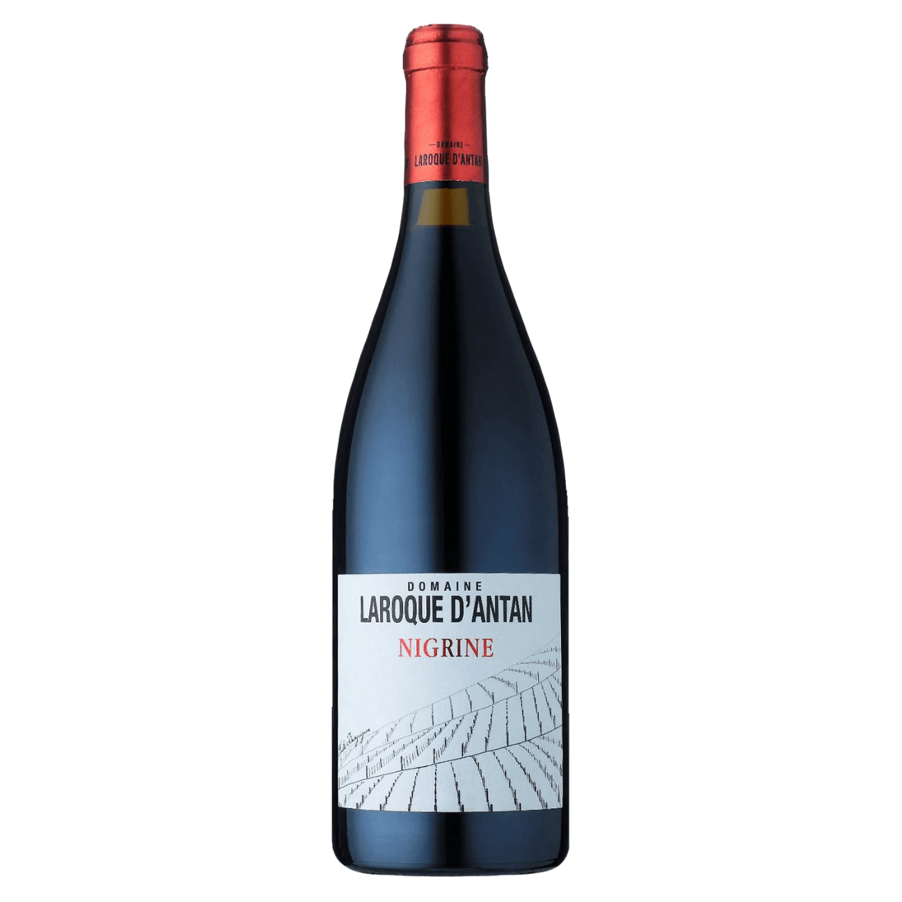 Domaine Laroque d'Antan IGP Côtes du Lot Nigrine Rouge 2020 (12 Bottles) Cote du Lot, France