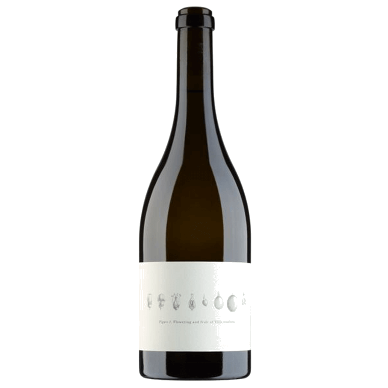Becker Wines Manchester Vineyard Pinot Noir 2022 (3 Bottles) Pokolbin, Hunter Valley, NSW