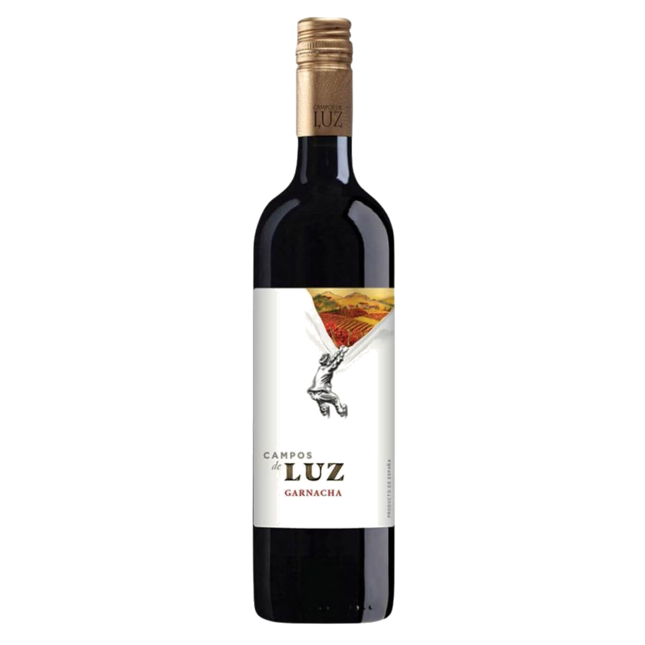 Campos de Luz Garnacha 2022 (12 Bottles) Ebro Valley, Spain