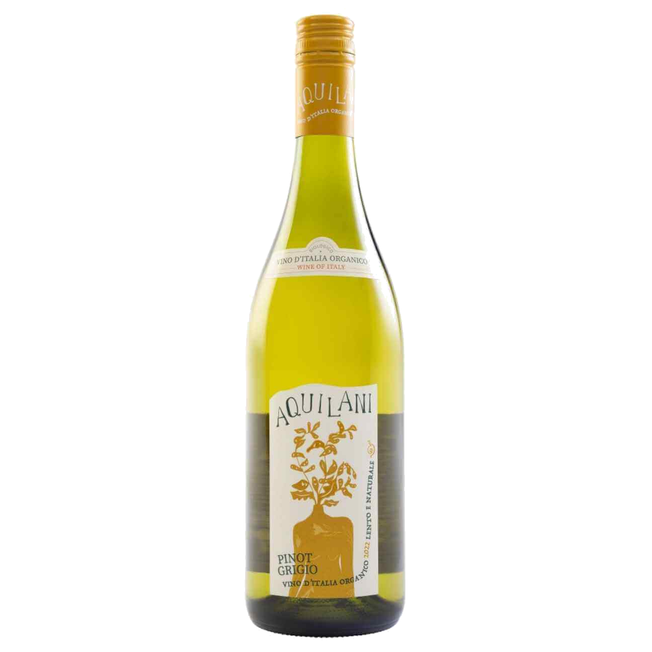 Aquilani Pinot Grigio 2024 (12 Bottles) Tuscany, Italy