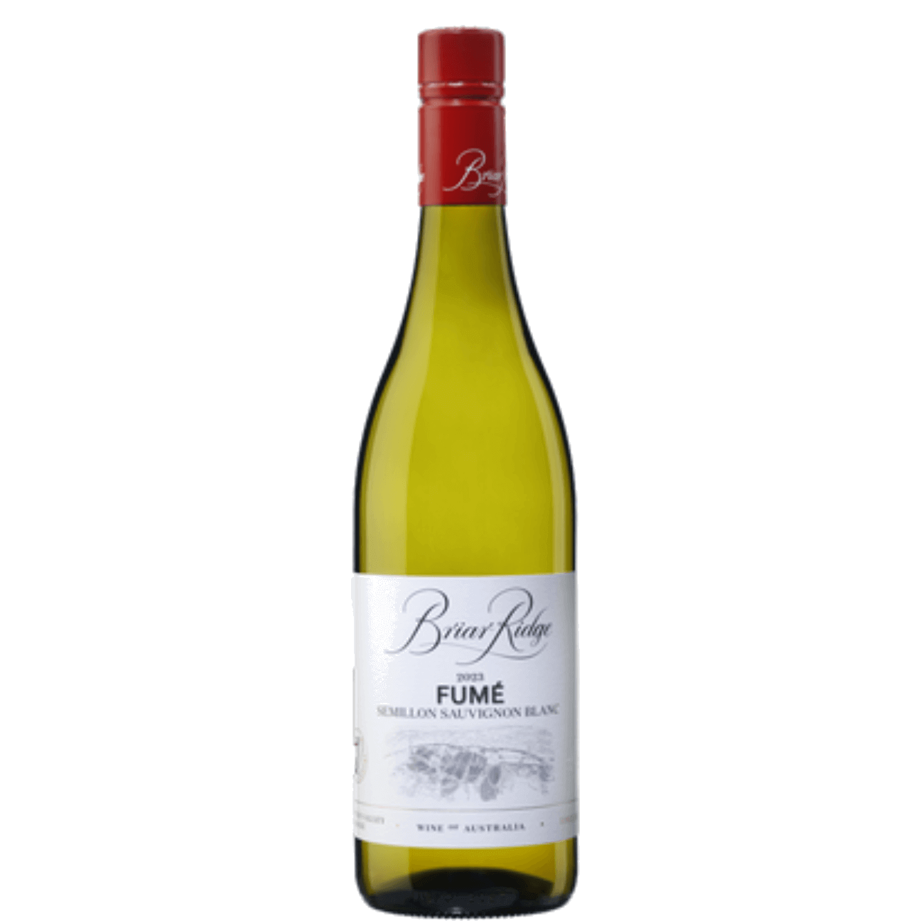 Briar Ridge Fumé Semillon Sauvignon Blanc 2025 (6 Bottles) Hunter Valley, NSW