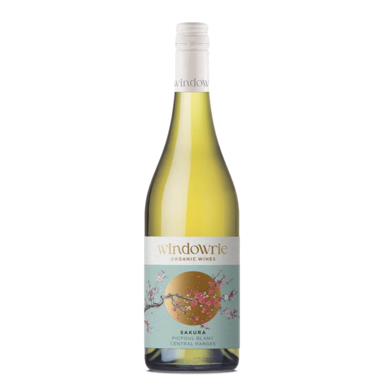 Windowrie Sakura Picpoul Blanc 2024 (6 Bottles) Canowindra, NSW