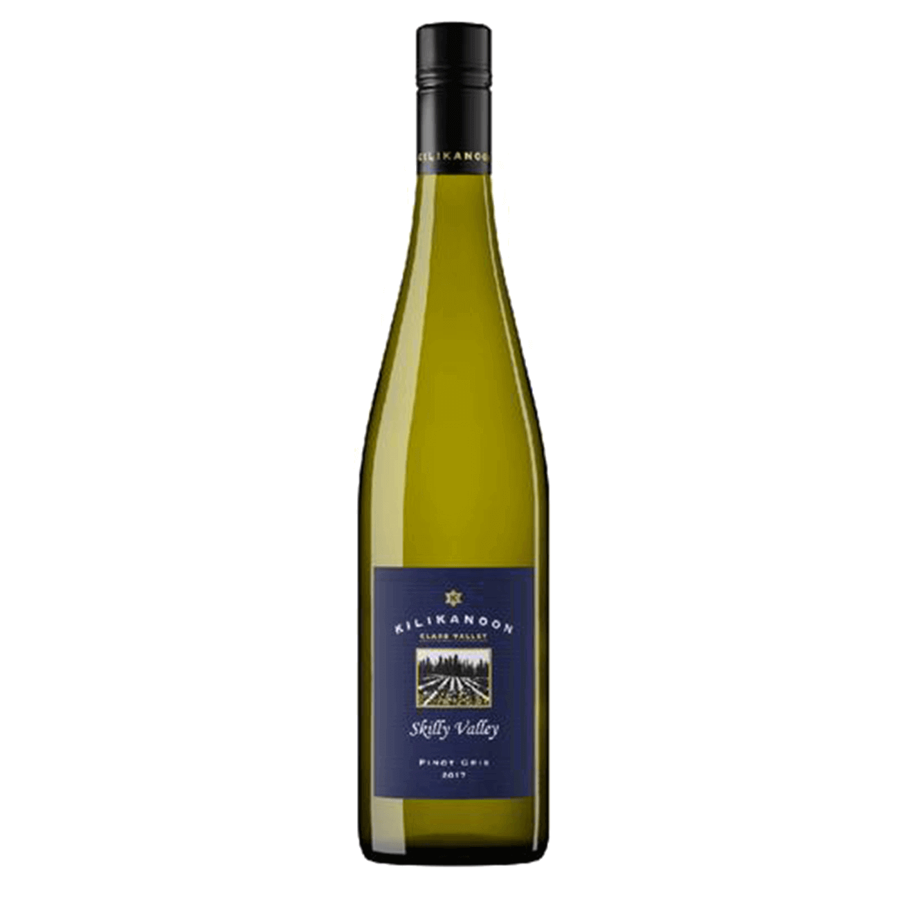Kilikanoon Skilly Valley Pinot Gris 2024 (6 Bottles) Clare Valley, SA