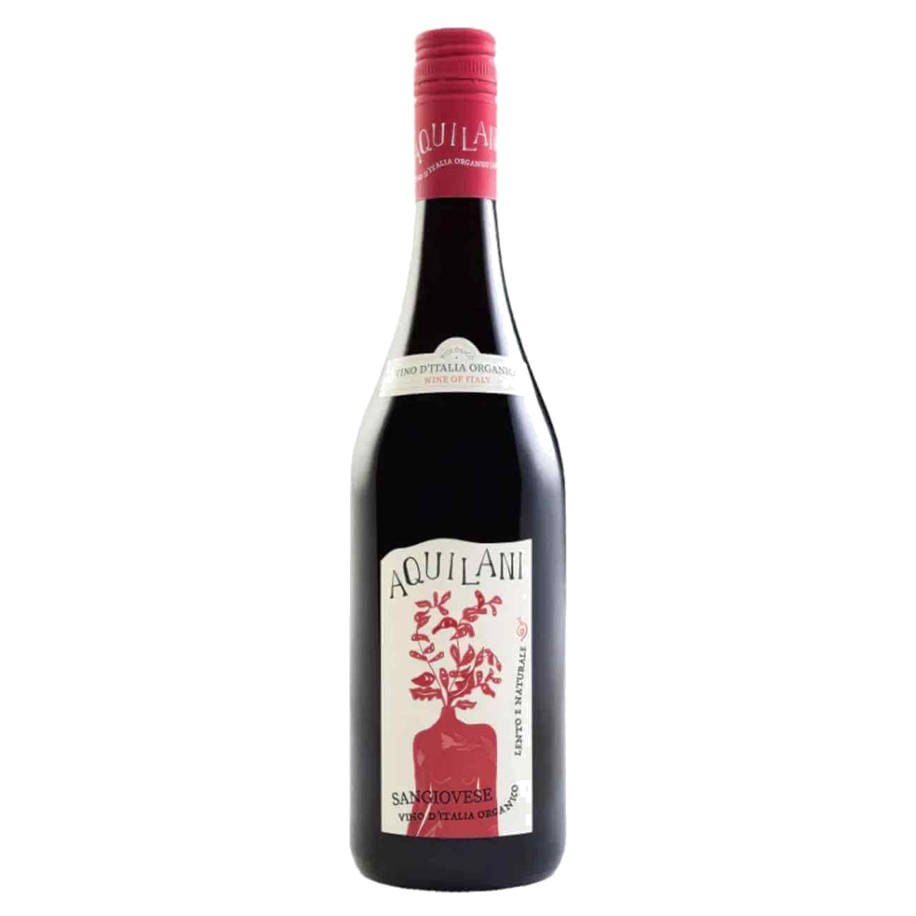 Aquilani Sangiovese IGT Organic 2024 (12 Bottles) Tuscany, Italy