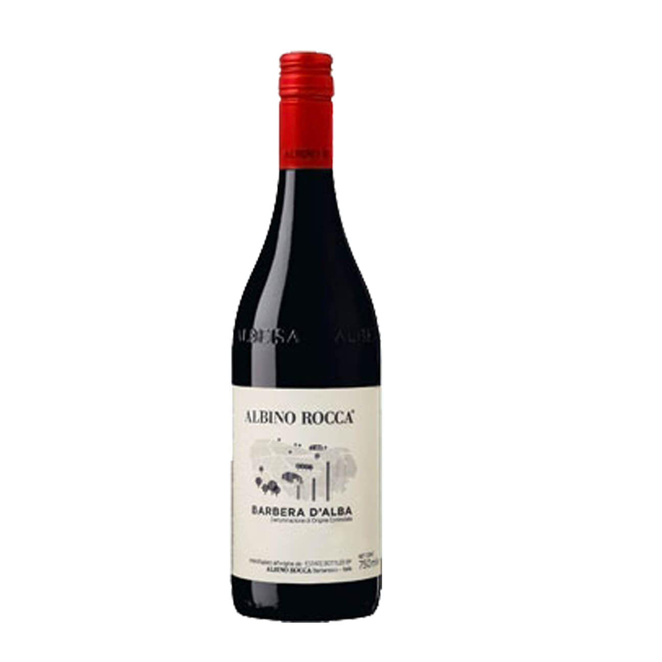 Albino Rocca Barbera D'Alba 2024 (6 Bottles) Barbaresco, Italy